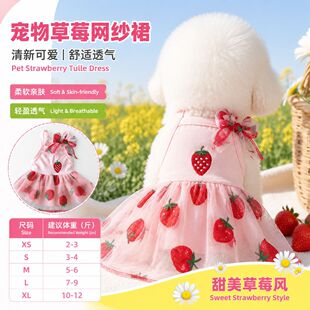 �ļ�����＆ȹ��̩�ϛ�����ѩ�{��������С��Ȯ����؈���·�