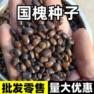 �²ɇ����N������������N���S�����t�����̻��N�����뻱�̻�����