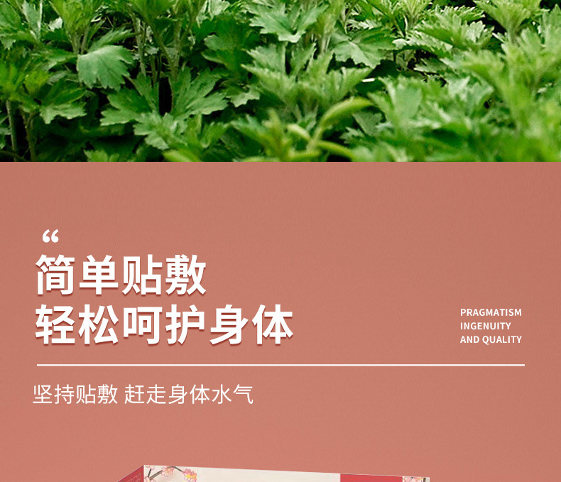 Mugwort Clear-Damp Navel Patch Qing Shi Tie Warming Self-Heating Moxa Sticker with Qi Ai and Ginger 5 Patches per Box quality and texture