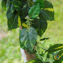 ?B1��������ȼ���~�Gֲ�پG�~�G�}�ٗl�����~�ӷ�ȼֲ��