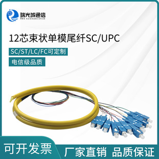 Telecom-grade SC12 core single-mode 1 meter square head 0.9mm bundle pigtail