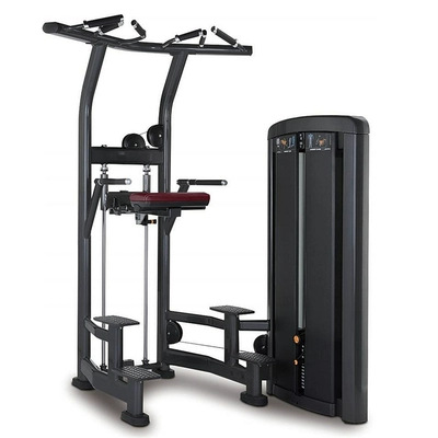 Lifefitnes emblema militar equipo de gimnasio de fuerza conjunto completo de equipo gimnasio especial de espalda pecho pierna entrenamiento hombro