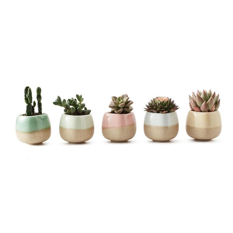 Creative Korean-style hand-painted ceramic fleshy flowerpot old pile stoneware breathable large diameter platter round green plant potted plant