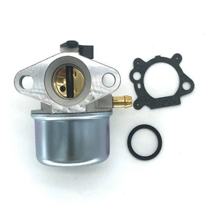 Carburetor suitable for 799868 498170 497586 498254 497314 497347