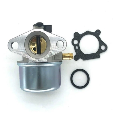 Carburetor suitable for 799868 498170 497586 498254 497314 497347 (Carburetor)