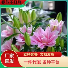 һ�����l�ذ���ˮ�ٺϻ��N�������҃��̨�ļ��_�����������ܷN��