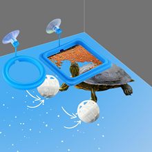 带吸盘的乌龟喂食环和硝化球套装适用于乌龟陆龟金鱼孔雀鱼锦鲤