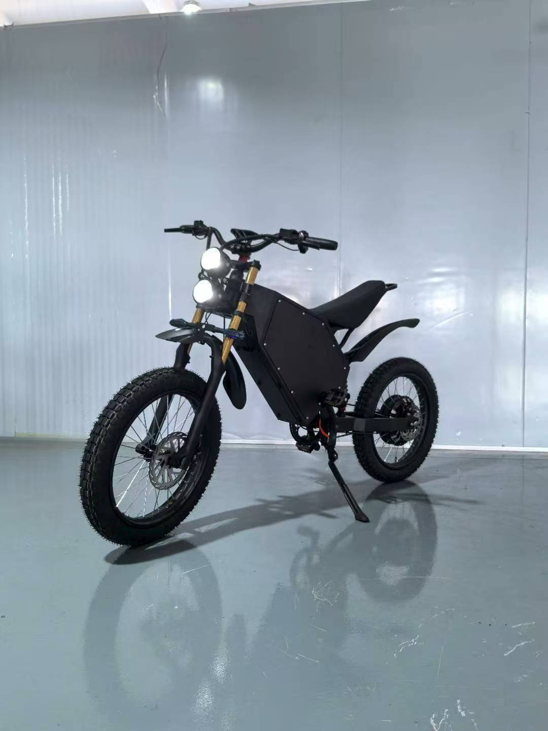 20inch Electric motorcycle lithium battery electric moped electric bicycle wholesale electric moped