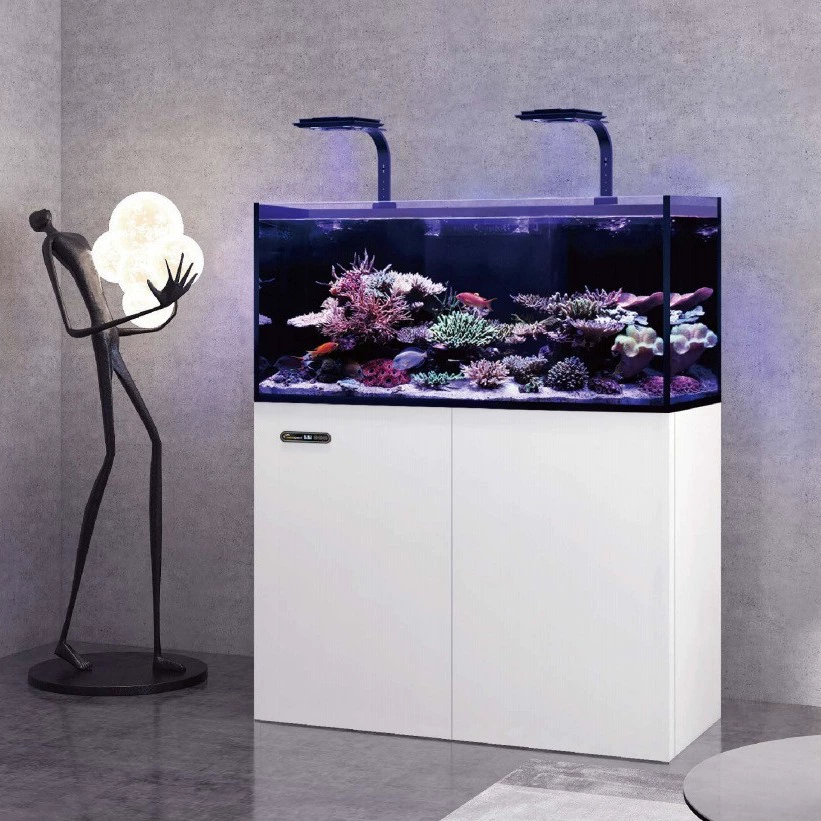 Maiguang LS Reef Series Tank APP Control Полностью автоматический резервуар для коралловых рыб с морской водой