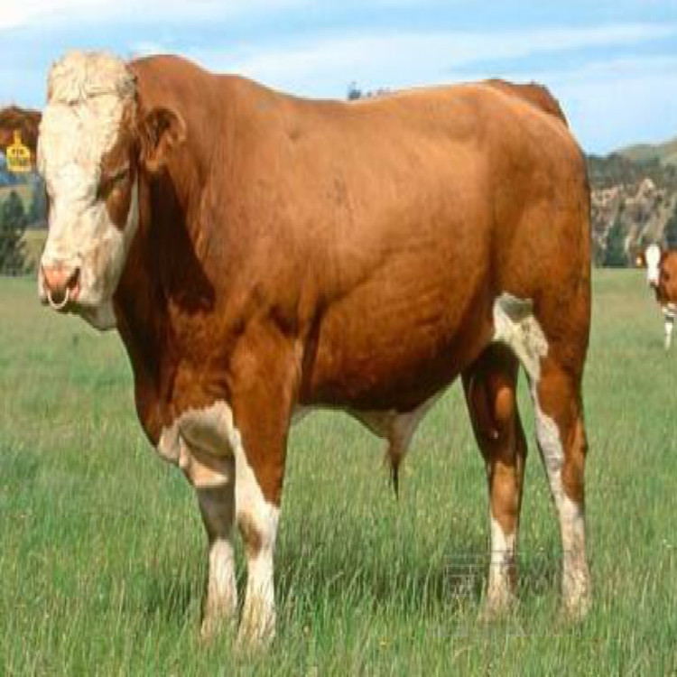 88bcbf4283c52433_meitu_12