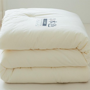 Pure Cotton Soybean Quilt, Thickened Winter Quilt, All-Cotton Quilt Core, Two-In-One Soybean Fiber Duvet, Spring and Autumn Quilt