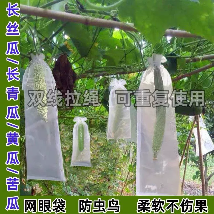 Длинные сетчатые мешки для огурцов, зеленых огурцов и горькой дыни, специальные мешки для защиты от насекомых и защиты фруктов.