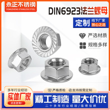 304���P����Ƿ��m��ĸ Din6923���X�������Ƿ��m��ĸ��ñ