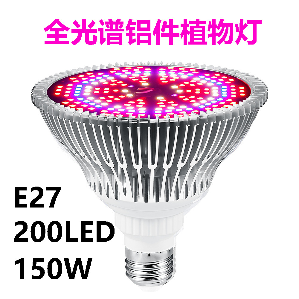 200 구슬-150W 보라색 빛