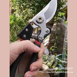 ��Ʒ�|䓼�����ӹ������֦����֦��@ˇ�������������޼�����