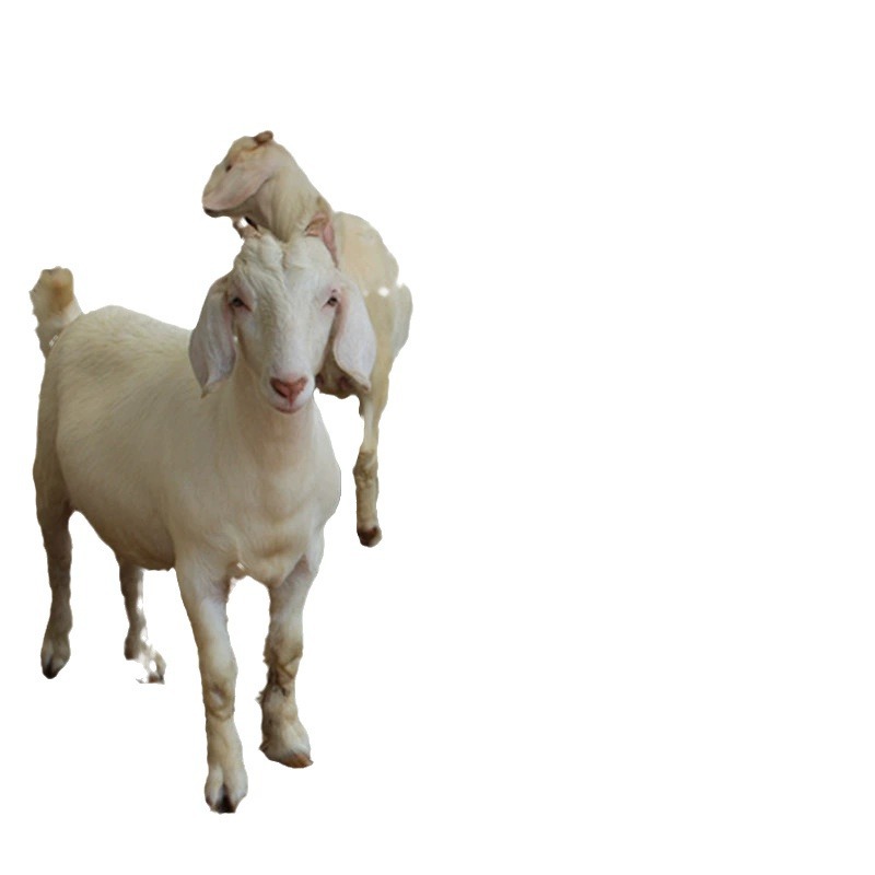 2024-05-14 15:50:17.jpg