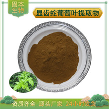显齿蛇葡萄叶提取物 水溶显齿蛇葡萄叶粉 二氢杨梅素 藤茶粉 现货