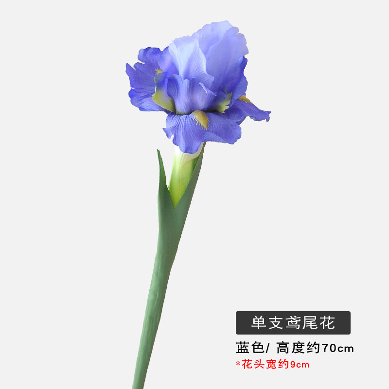 블루