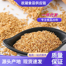 新燕麦米批发农家自产五谷杂粮 裸燕麦仁 生燕麦粒 煮粥 包邮