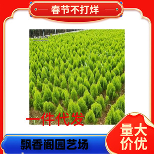 һ�����l�G����ľ���Ԟ�����瞢������S���С��ͥԺ�̨�辰��