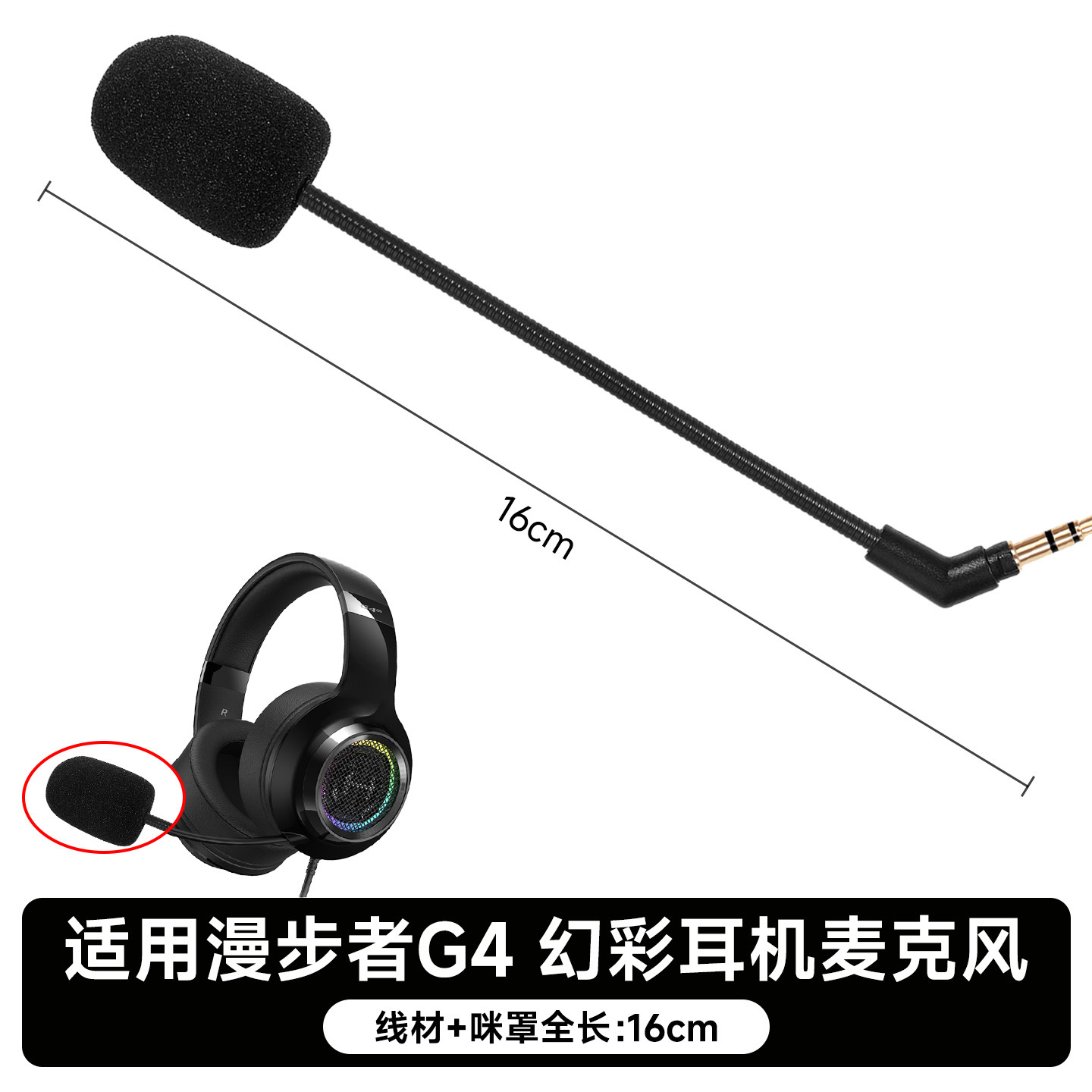 Earphones