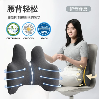 Waist support Memory Foam Lumbar Pillow Car
