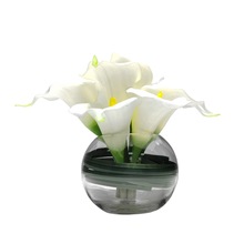 ���s���滨�R��ɏ��ˮ��ˇ���������ۘ�̎�[�Ż��ܷ��滨ˇ�[��