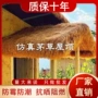 庭院露营防水遮阳塑料草