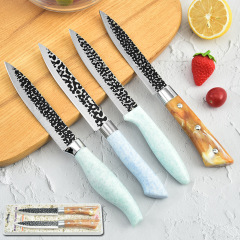 廠家批發鍛打電泳多用果皮刀兩件套 彩色塑料手柄削皮刀吸卡包裝