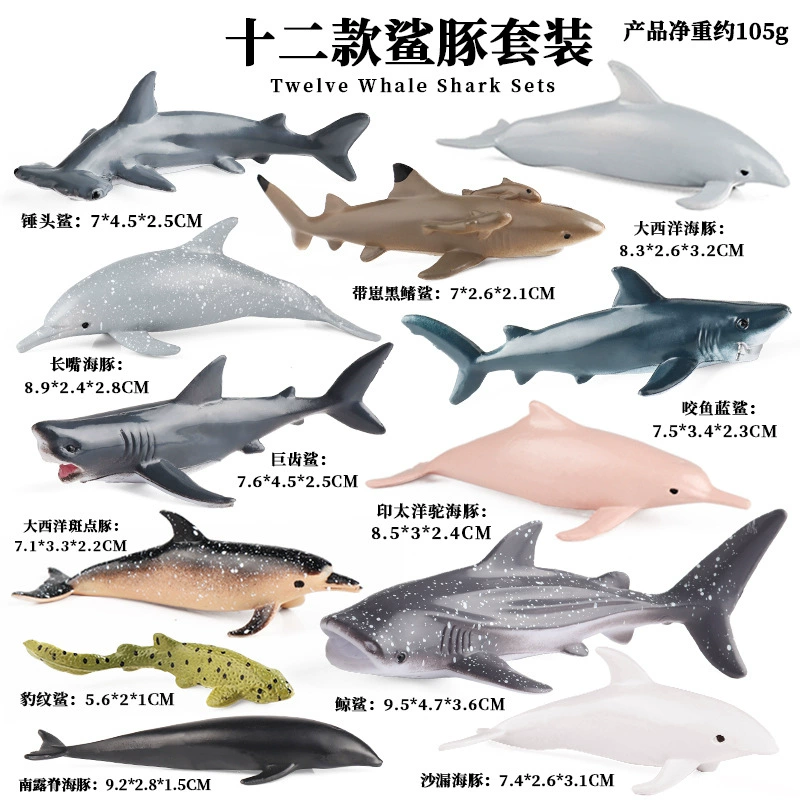 Cognitive realistic marine animal model, dinosaur, toy