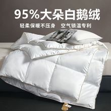 波兰羽绒被芯95鹅绒被学生宿舍被子春秋被芯空调被加厚冬被亚马逊