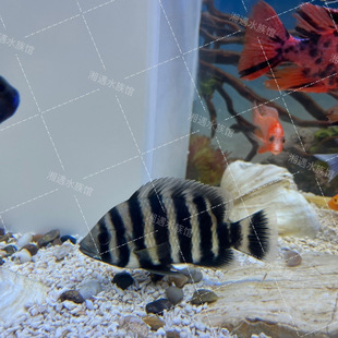 ����ʮ�g�~�ʹ��д��ͽ����~�^�p�~����Ұ�����~�ߙn�Ꭷ�~��}