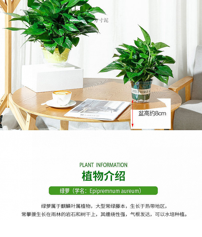 b508d700-f0cc-47c1-a1e7-7fbeccf9c8ae.jpe