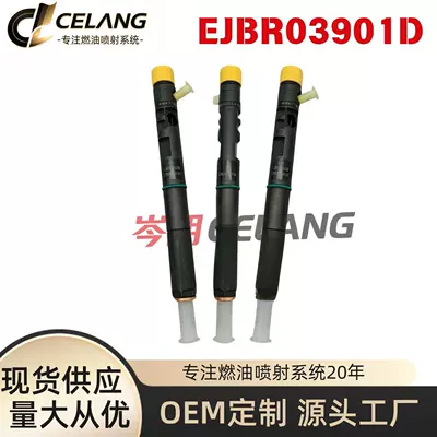 Delphi Ejbr03901D Fuel Injector/Delphi Ejbr03902D Fuel Injector/33800-4X400 (Oil pump, nozzle)