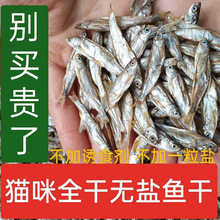 ؈��ʳС�~�ɵ�ˮ�o�}�~��؈����ʳ���l���ʰl���a�}������ʳ؈�Z