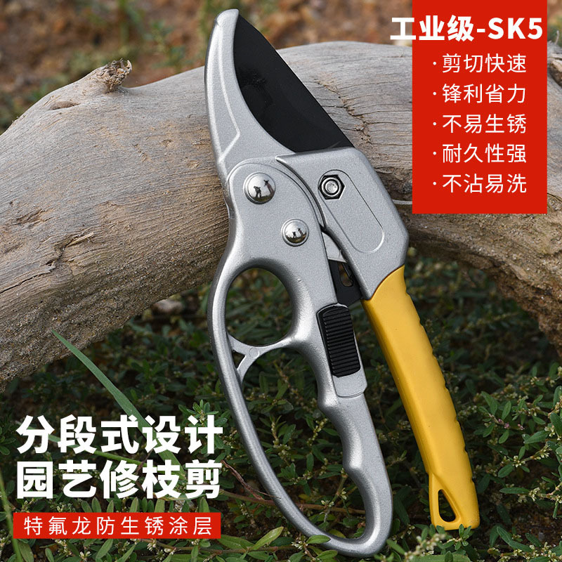 省力园林果树修枝剪刀分段式采摘剪刀强力树枝剪多功能园林剪刀