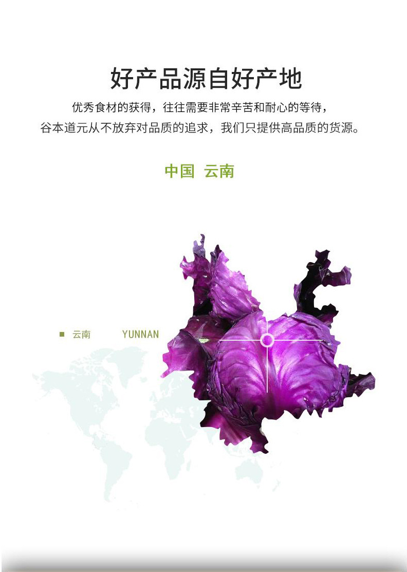 Purple Cabbage Powder Zi Gan Lan Dehydrated Red Cabbage Vegetable Powder for Baking and Drinks 1000g key features