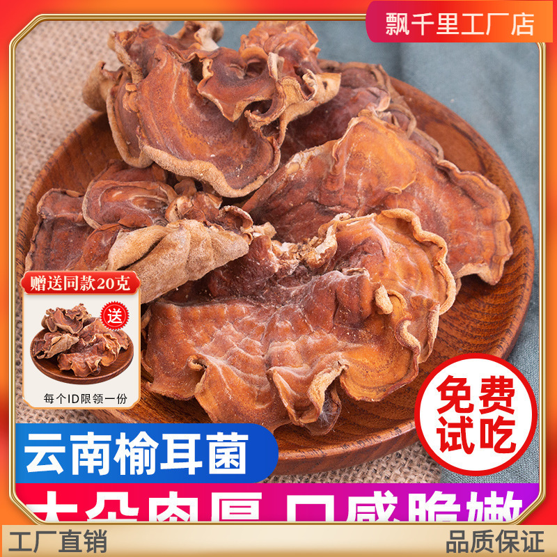 榆耳菌干货500g蘑菇云南特产灵芝菇榆耳羊肚菌菇干香菇菌类煲批发