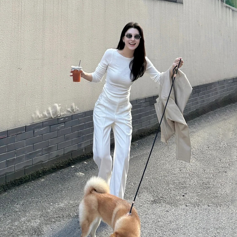 灰色修身长袖t恤女2025新款V领上衣秋冬内搭打底衫早秋天韩系穿搭|undefined