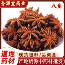 �˽���ș�� �˽����� ������ �u������{������ ����˽ǰ�����