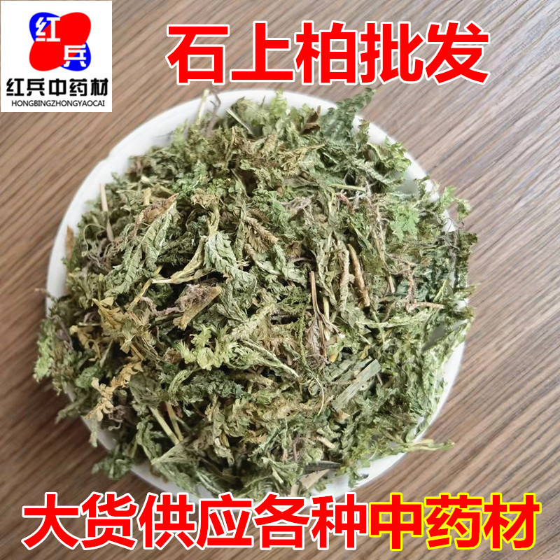Dried Selaginella Herb Shi Shang Bai Whole Plant Traditional TCM Botanical Bulk Supply overview