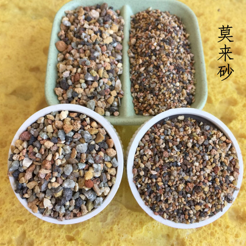 62486138309433632_副本