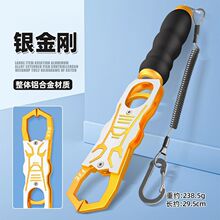 ¿~ȫXϽ~Q·QA~~~·bO