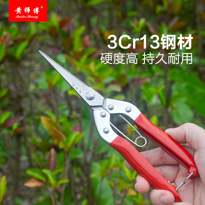 Stainless steel fruit picking shears, bent head fruit scissors, fruit branch scissors, thin fruit scissors, gardening shears, pruning shears, fruit tree shears, flower pruning shears