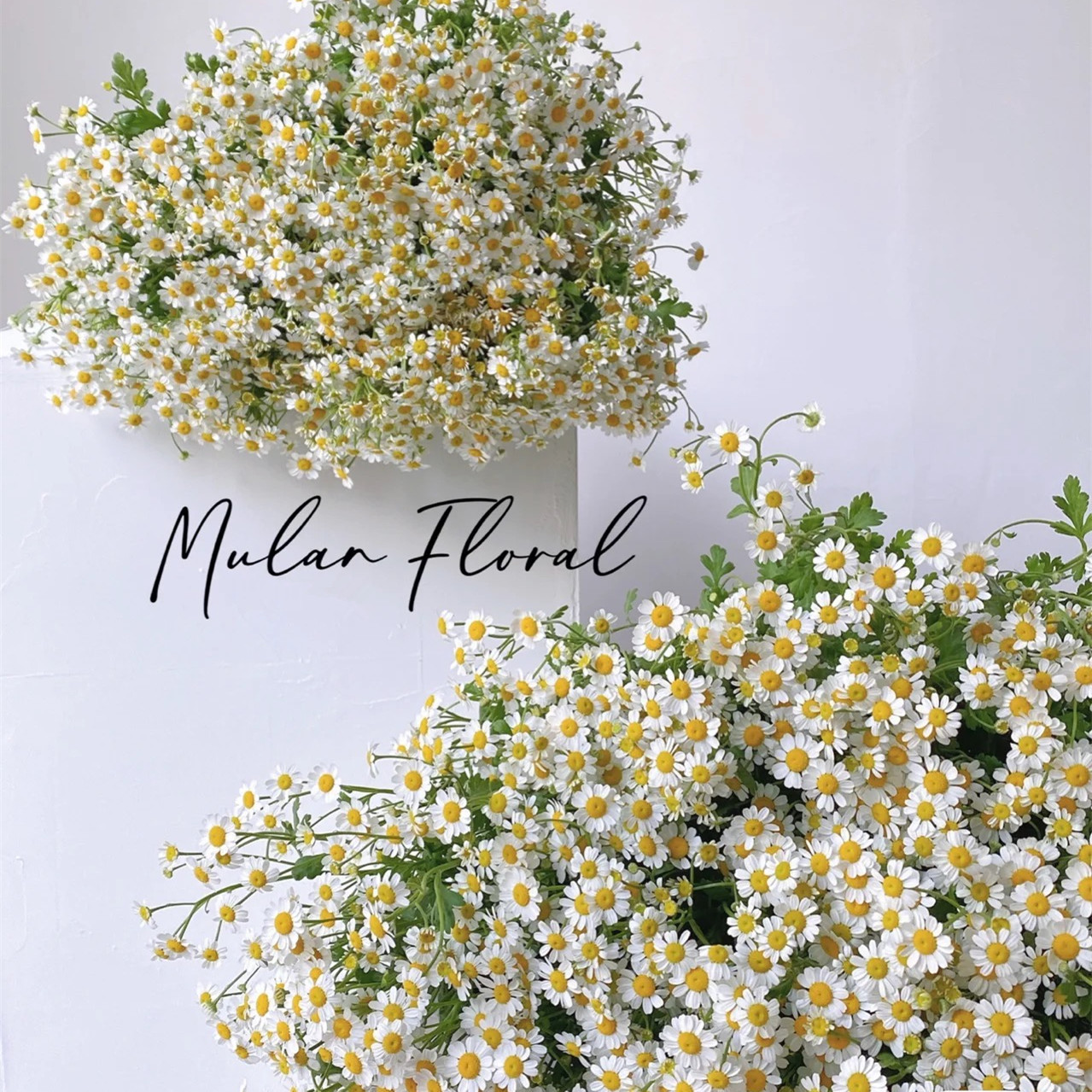 洋甘菊小雛菊假花仿真花客廳擺設餐桌花裝飾花束批發擺件拍照道具