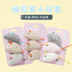 貓貓玩具逗貓咪貓薄荷仿真毛絨小老鼠套裝解悶自嗨逗貓棒互動神器