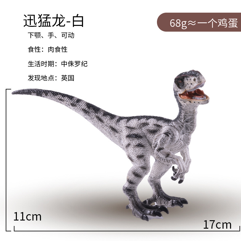 벨로시랩터-화이트