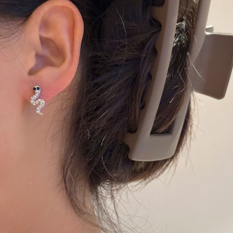 Pendientes de Serpiente con Diamantes Brillantes Personalizados Coreanos para Mujer, Joyería de Estilo Urbano Moderno al por Mayor