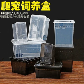 爬宠饲养盒加大号爬虫饲养箱蜥蜴守宫玉米 蜘蛛 蛇角蛙昆虫乌龟缸