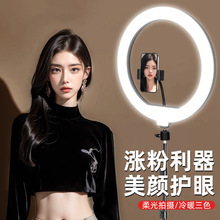 �֙Cֱ���a���������w���Ȧ�h�δ����҃����ՔzӰ������_��